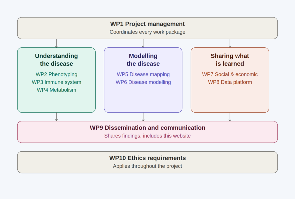 DISCOVER-ME work package structure